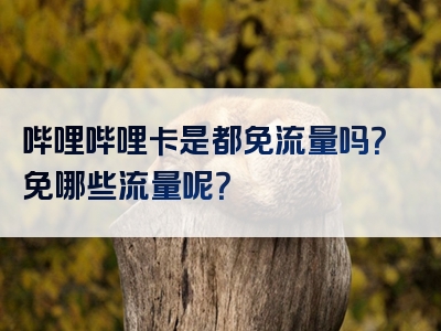 哔哩哔哩卡是都免流量吗？免哪些流量呢？