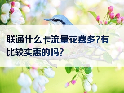 联通什么卡流量花费多？有比较实惠的吗？
