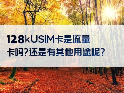 128kUSIM卡是流量卡吗？还是有其他用途呢？