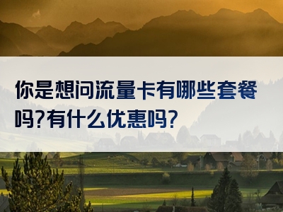 你是想问流量卡有哪些套餐吗？有什么优惠吗？