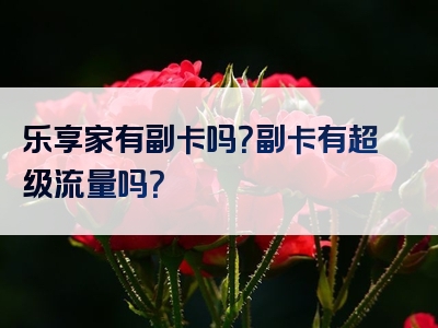 乐享家有副卡吗？副卡有超级流量吗？