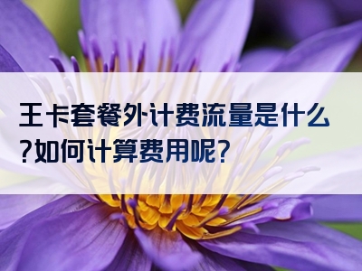 王卡套餐外计费流量是什么？如何计算费用呢？