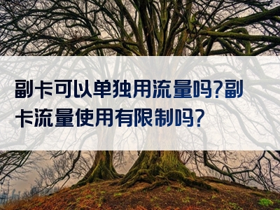 副卡可以单独用流量吗？副卡流量使用有限制吗？