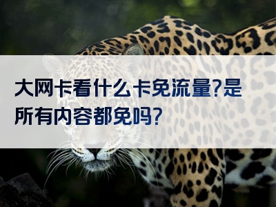 大网卡看什么卡免流量？是所有内容都免吗？