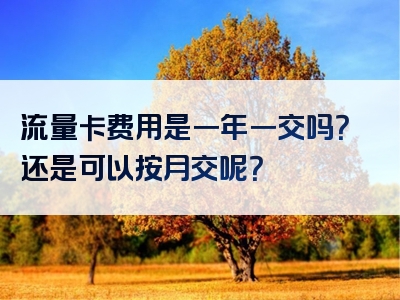 流量卡费用是一年一交吗？还是可以按月交呢？