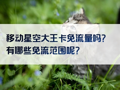 移动星空大王卡免流量吗？有哪些免流范围呢？