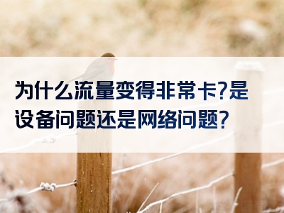 为什么流量变得非常卡？是设备问题还是网络问题？