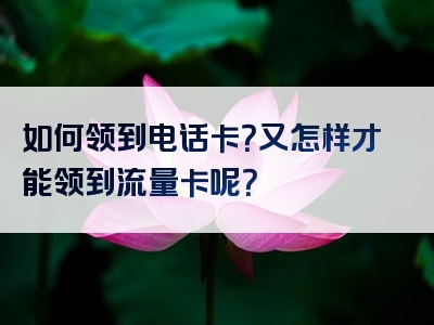 如何领到电话卡？又怎样才能领到流量卡呢？