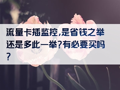 流量卡插监控，是省钱之举还是多此一举？有必要买吗？