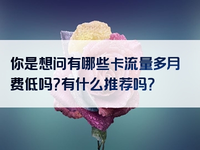 你是想问有哪些卡流量多月费低吗？有什么推荐吗？