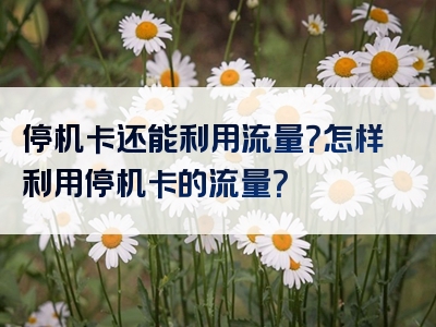 停机卡还能利用流量？怎样利用停机卡的流量？