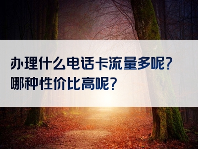 办理什么电话卡流量多呢？哪种性价比高呢？
