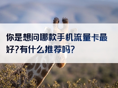 你是想问哪款手机流量卡最好？有什么推荐吗？