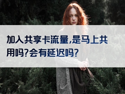 加入共享卡流量，是马上共用吗？会有延迟吗？