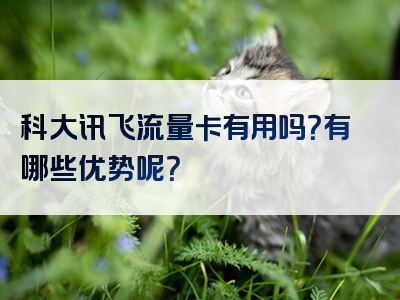 科大讯飞流量卡有用吗？有哪些优势呢？
