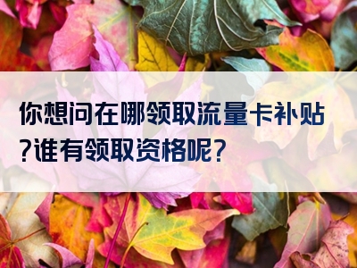 你想问在哪领取流量卡补贴？谁有领取资格呢？