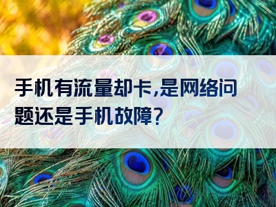 手机有流量却卡，是网络问题还是手机故障？