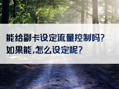 能给副卡设定流量控制吗？如果能，怎么设定呢？