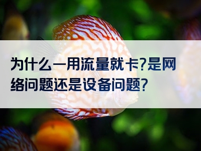 为什么一用流量就卡？是网络问题还是设备问题？