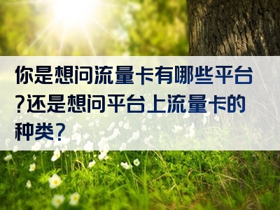 你是想问流量卡有哪些平台？还是想问平台上流量卡的种类？