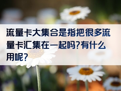 流量卡大集合是指把很多流量卡汇集在一起吗？有什么用呢？