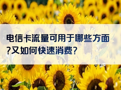 电信卡流量可用于哪些方面？又如何快速消费？