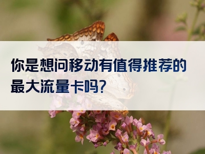 你是想问移动有值得推荐的最大流量卡吗？