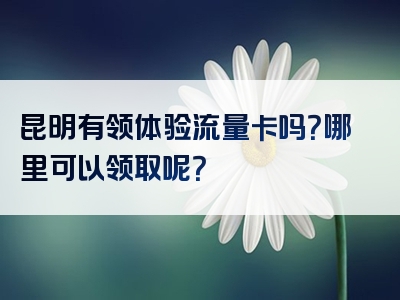 昆明有领体验流量卡吗？哪里可以领取呢？