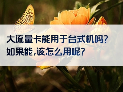 大流量卡能用于台式机吗？如果能，该怎么用呢？
