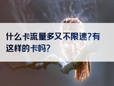 什么卡流量多又不限速？有这样的卡吗？