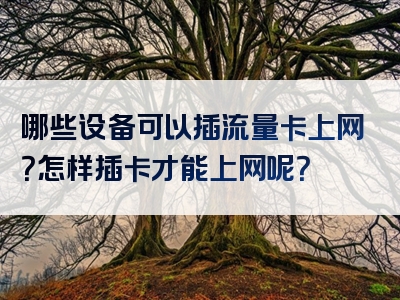 哪些设备可以插流量卡上网？怎样插卡才能上网呢？