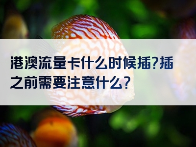 港澳流量卡什么时候插？插之前需要注意什么？
