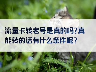 流量卡转老号是真的吗？真能转的话有什么条件呢？