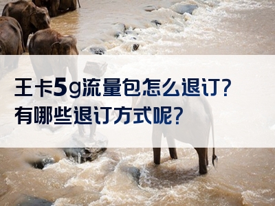 王卡5g流量包怎么退订？有哪些退订方式呢？