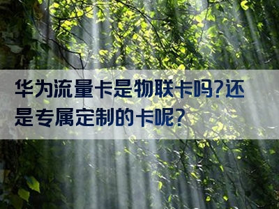 华为流量卡是物联卡吗？还是专属定制的卡呢？