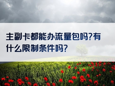 主副卡都能办流量包吗？有什么限制条件吗？