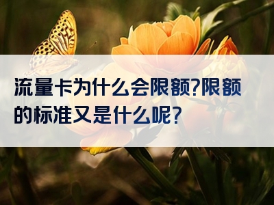 流量卡为什么会限额？限额的标准又是什么呢？