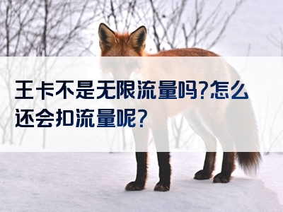 王卡不是无限流量吗？怎么还会扣流量呢？