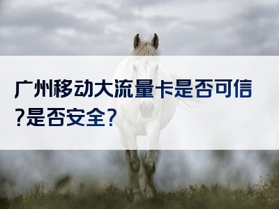 广州移动大流量卡是否可信？是否安全？