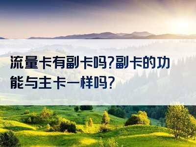 流量卡有副卡吗？副卡的功能与主卡一样吗？