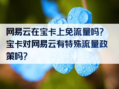 网易云在宝卡上免流量吗？宝卡对网易云有特殊流量政策吗？