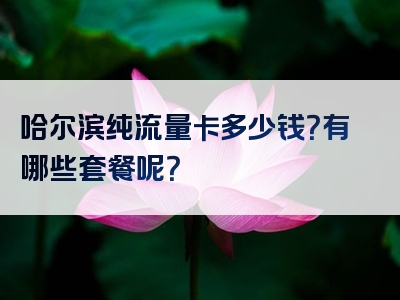 哈尔滨纯流量卡多少钱？有哪些套餐呢？
