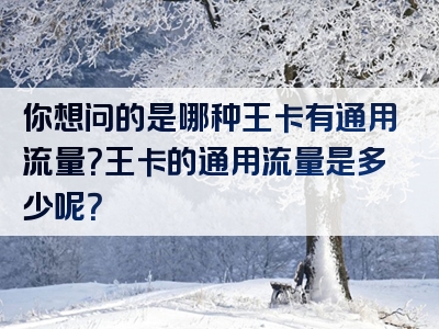 你想问的是哪种王卡有通用流量？王卡的通用流量是多少呢？