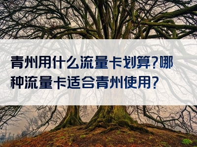 青州用什么流量卡划算？哪种流量卡适合青州使用？
