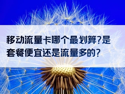 移动流量卡哪个最划算？是套餐便宜还是流量多的？