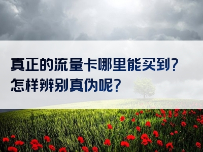 真正的流量卡哪里能买到？怎样辨别真伪呢？