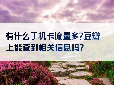 有什么手机卡流量多？豆瓣上能查到相关信息吗？