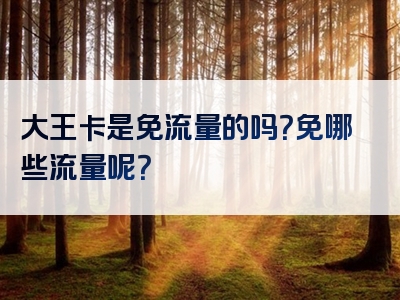 大王卡是免流量的吗？免哪些流量呢？