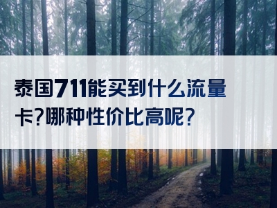 泰国711能买到什么流量卡？哪种性价比高呢？
