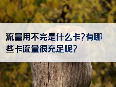 流量用不完是什么卡？有哪些卡流量很充足呢？